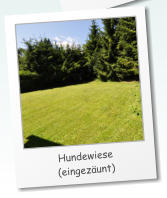 Hundewiese (eingez�unt)