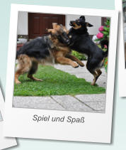 Spiel und Spa�