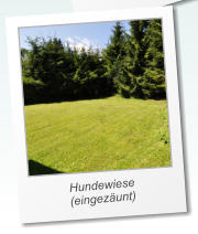 Hundewiese (eingez�unt)