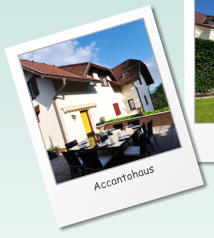 Accantohaus